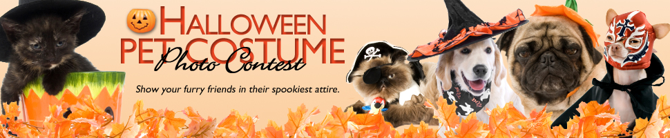 Halloween Pet Costume Photo Contest