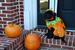 Punkin'Doodle