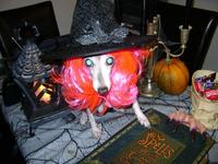 A quite night at home with my Spell Book