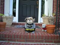 Bat Tzu