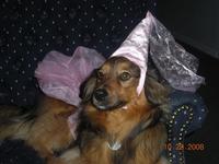 Princess Belle