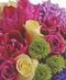 Fresh Flowers