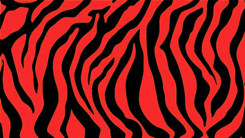 Bengals Flowers & Gifts