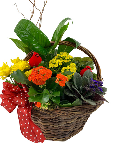 Colorful Bright Blooming Basket