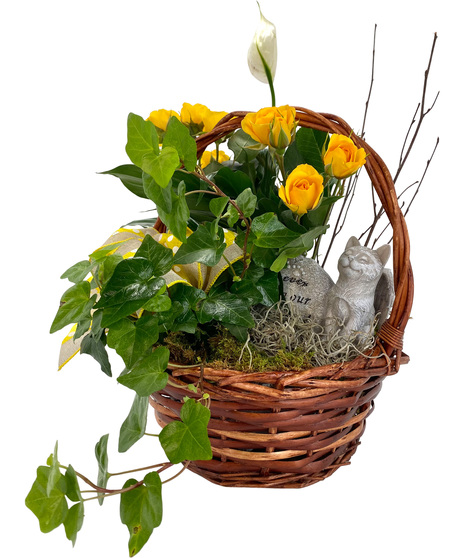 Cat Sympathy Basket