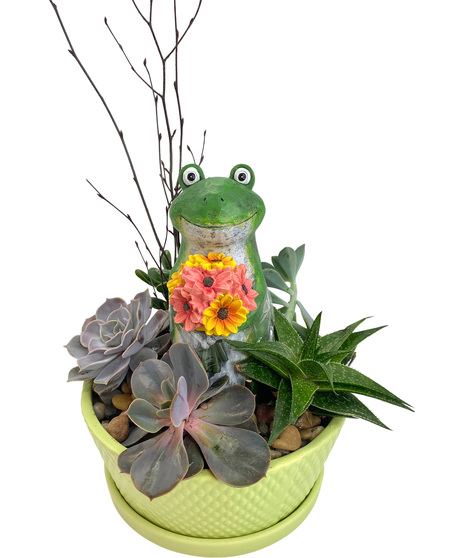 Adrian Durban's Sunny Smiles Succulent Garden