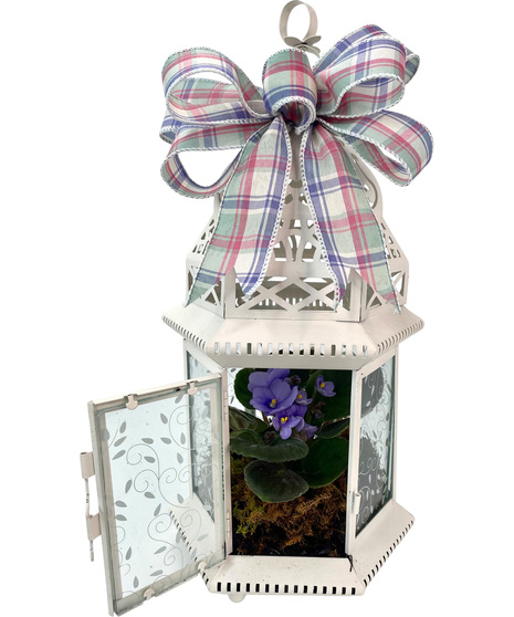 Light Of My Life Lantern