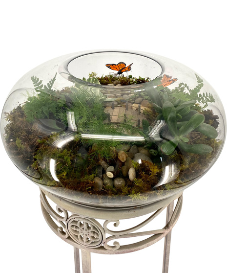 Adrian Durban's Terrarium