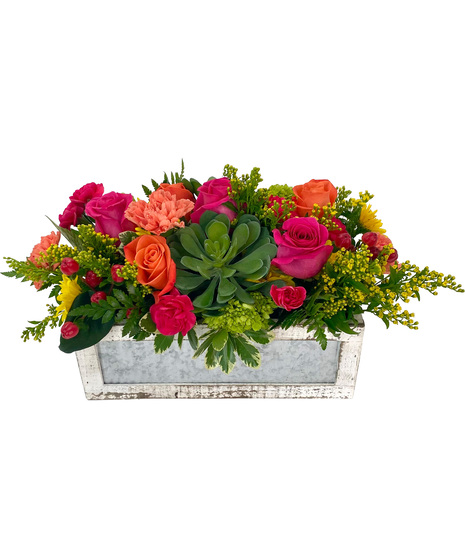 Eileen's Window Garden - Adrian Durban Exclusive