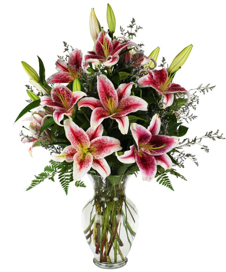 Enchanting Stargazer Lily Bouquet