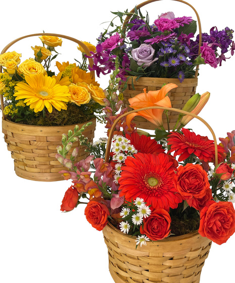 Basket of Farm Fresh Flowers by Adrian Durban