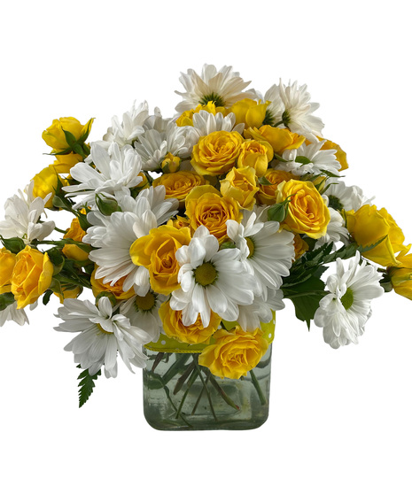 Sunny Polka Dots n Posies
