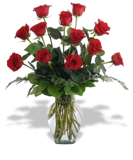 One dozen lovely long stem roses designed with greens and monte casino asters or babies breath.