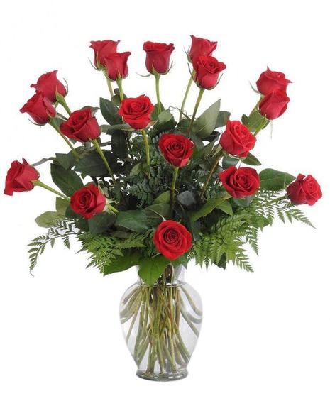 One dozen lovely long stem roses designed with greens and monte casino asters or babies breath.