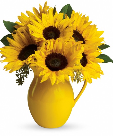 Sunny Day Pitcher of Sunflowers