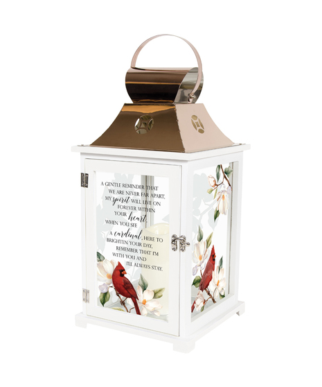 Sympathy Gifts