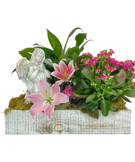 Angel of Love Garden