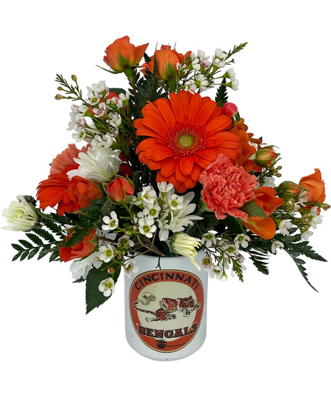 Bengals Vintage 