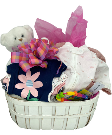 Baby Girl Gift Basket