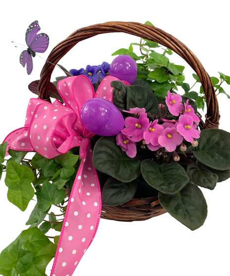 Easter Violet Basket