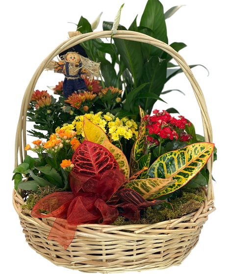 Fall Blooming Basket