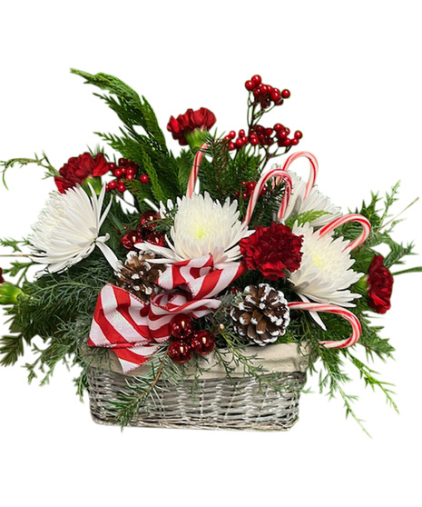 Adrian Durban’s Candy Cane Lane -   with real candy canes!