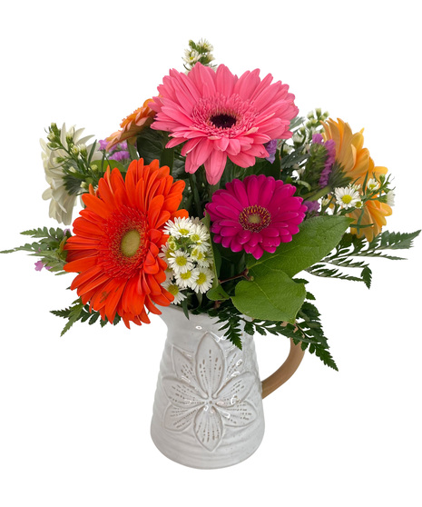 Gerbera Dreamin'
