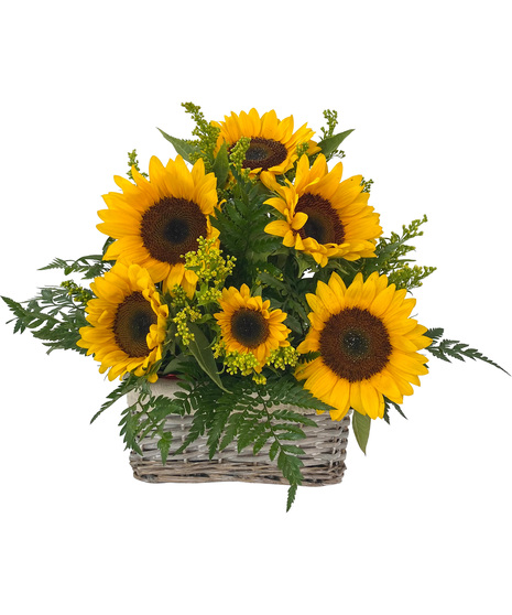 Sunny Daze - July Special Of The Month