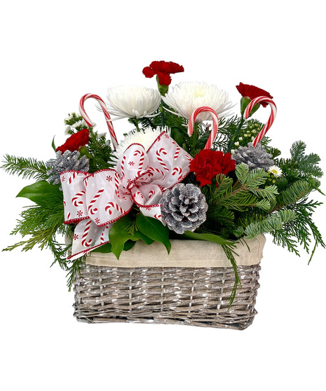 Adrian Durban’s Candy Cane Lane -   with real candy canes!