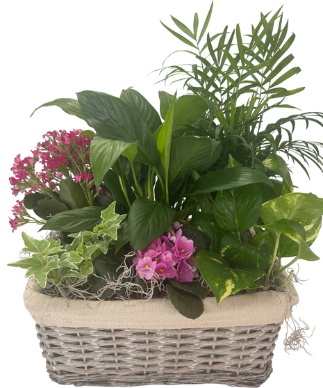 Secret Garden Basket