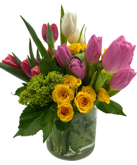 Spring Tulip Delight