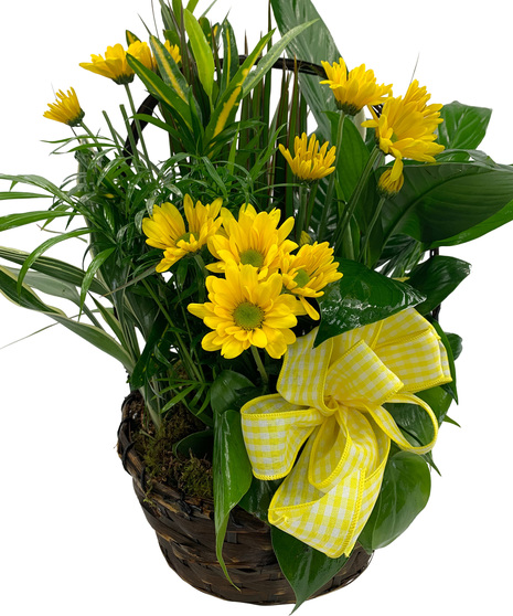 Botanical Planter with fresh cut flowers