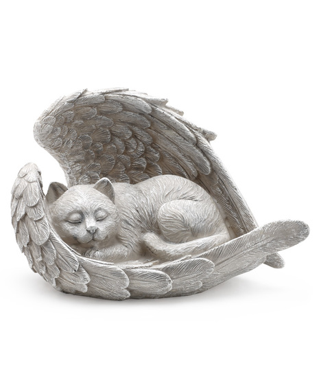 Sleeping Angel Cat