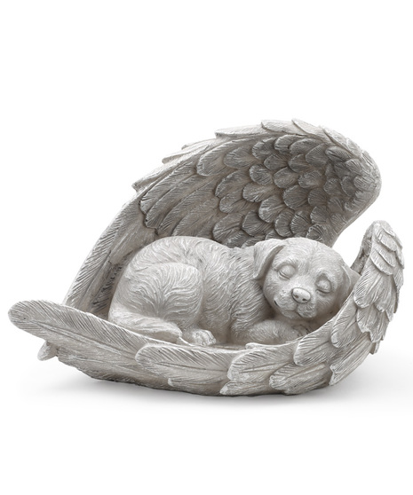 Sleeping Angel Dog