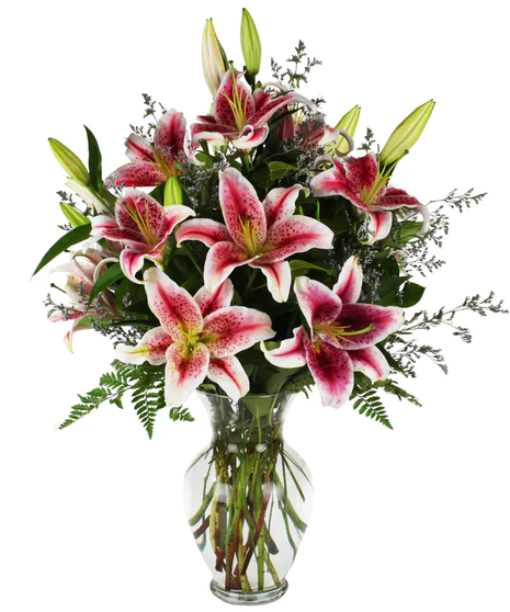 Enchanting Stargazer Lily Bouquet