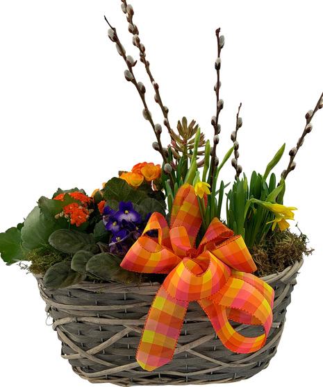 Spring Bulb and Blooming Plant Garden