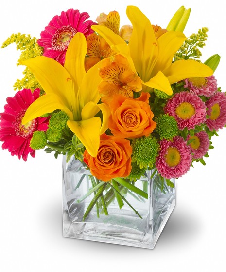 Thrifty Stems