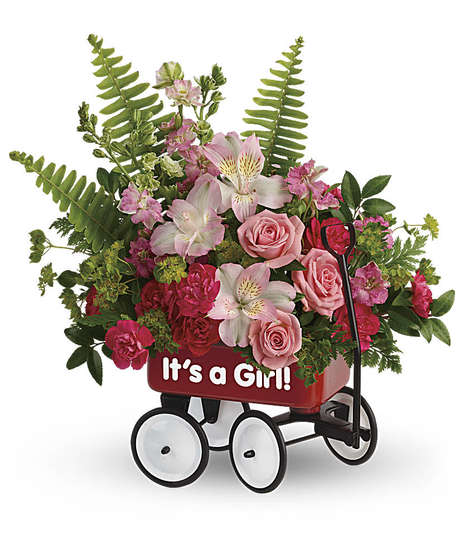 Welcome Beautiful!   Baby Girl Wagon