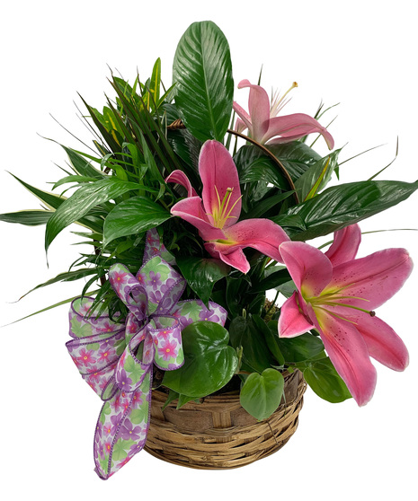 Botanical Planter with Fresh Liles