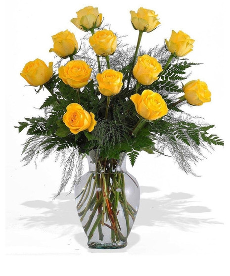 One Dozen Yellow Roses