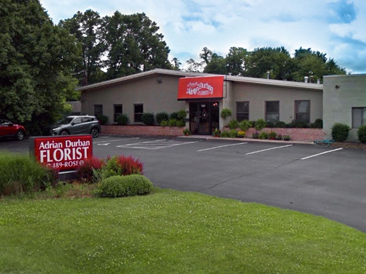 Main Location